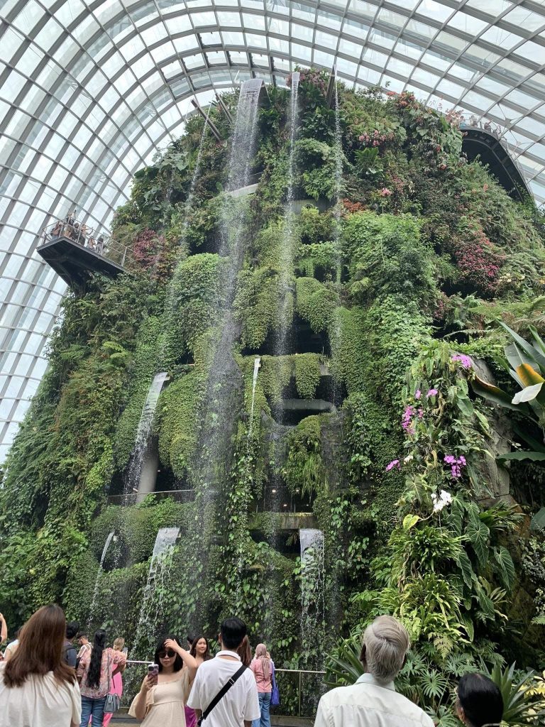 cloud forest singapore